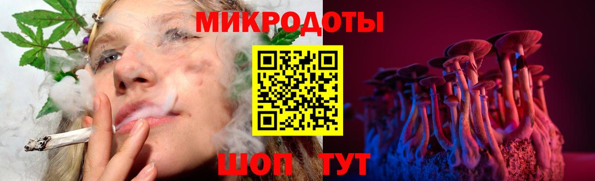 Галлюциногенные грибы Psilocybine cubensis Луховицы